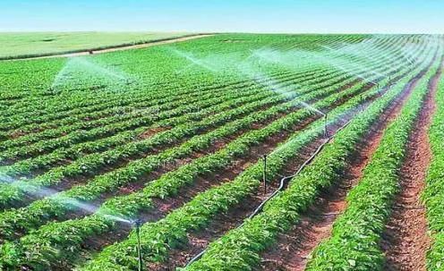 想要视频好湿爽嗯～农田高 效节水灌溉